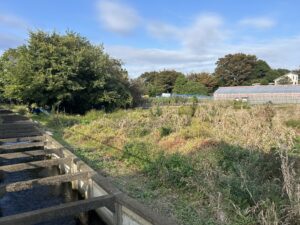 Concrete canal with stepped edges on the left, overgrown vegetation in the foreground, and a greenhouse to the right under a blue sky.